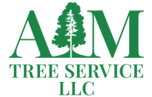 Tree Services LLC